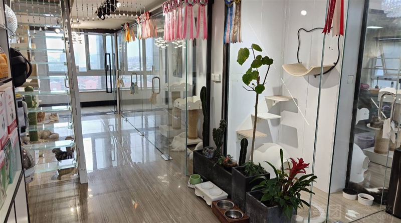 斑马的故事宠物生活馆猫咪咖啡屋的图标