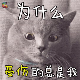 842894976bd3b18e3c5954cfce959dfb.gif