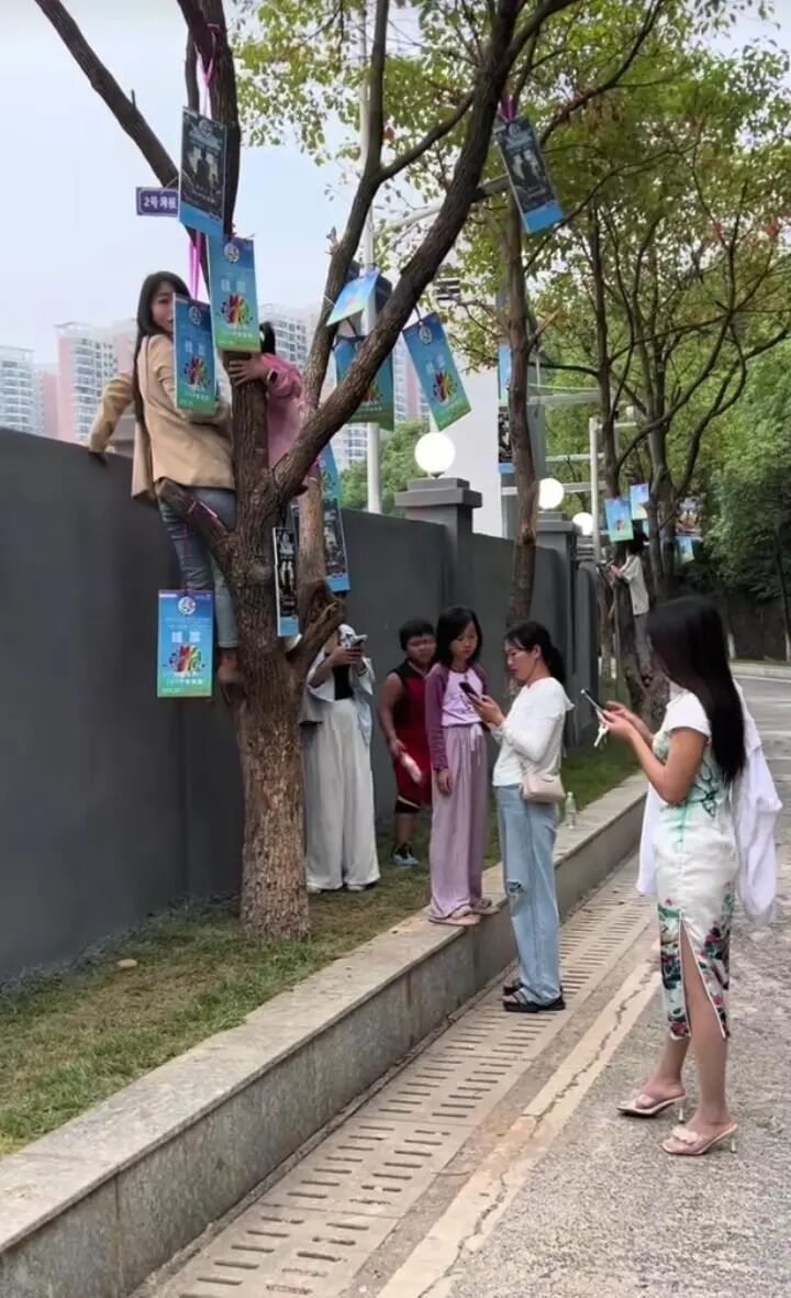 055555f67ce29a7ae799dd1717404414.jpeg 055555f67ce29a7ae799dd1717404414.jpeg